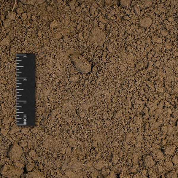 Chocolate Loam Strata Landscape